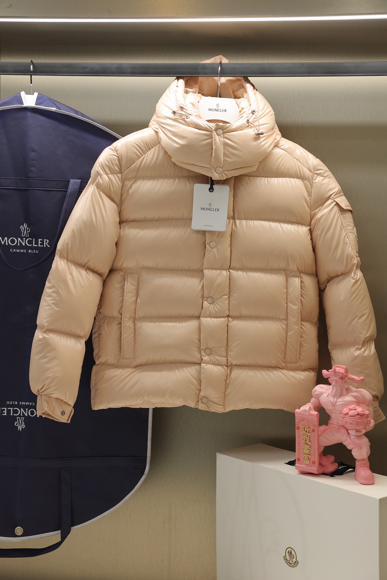 Moncler Down Jackets